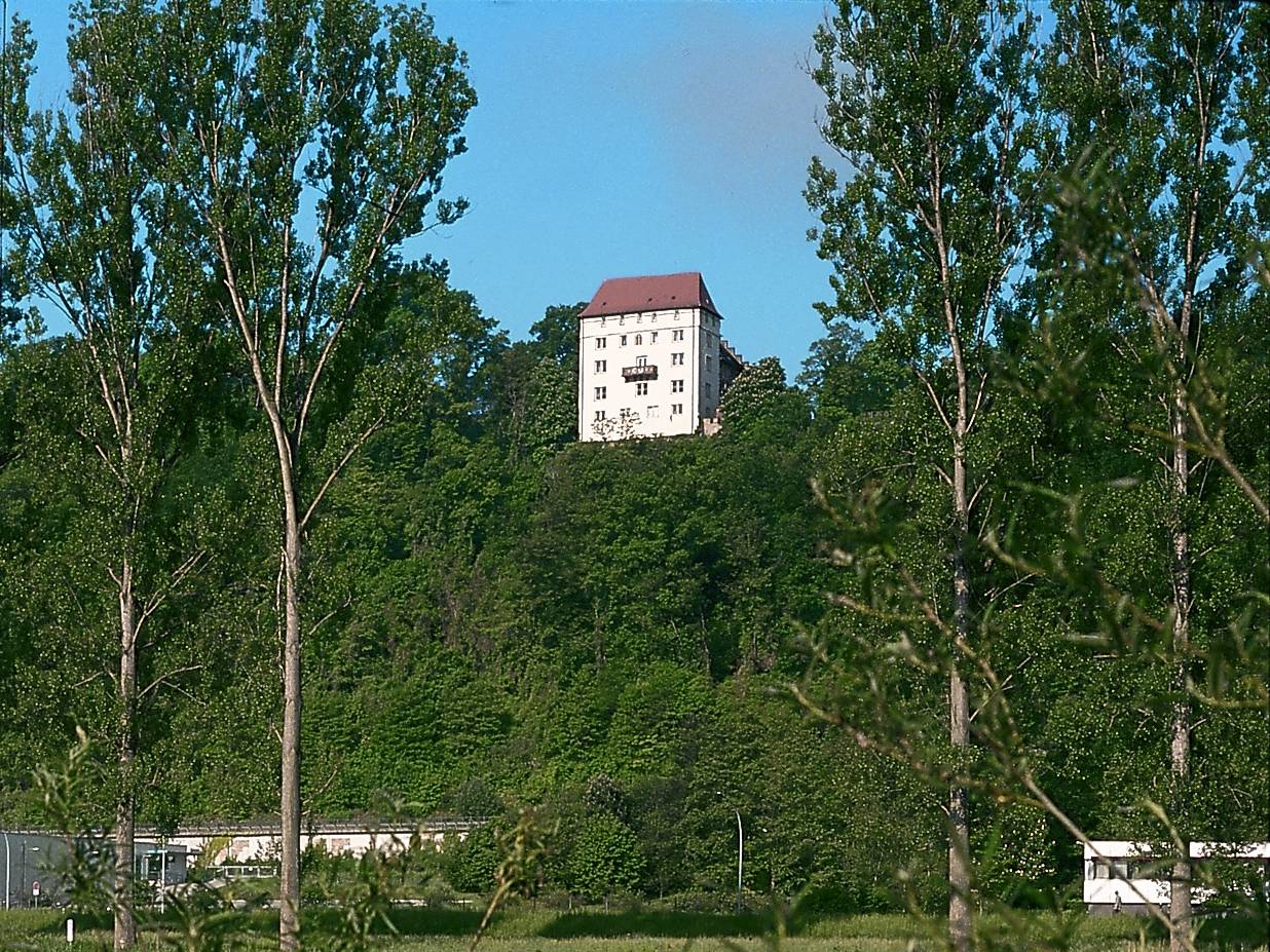  Blick auf Schloss vom Neckar 