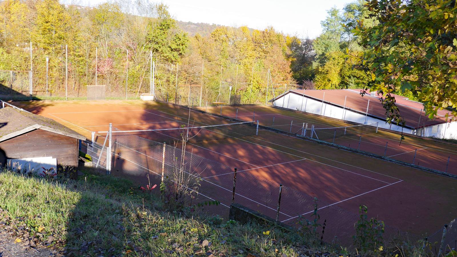  Tennisplatz Obrigheim 