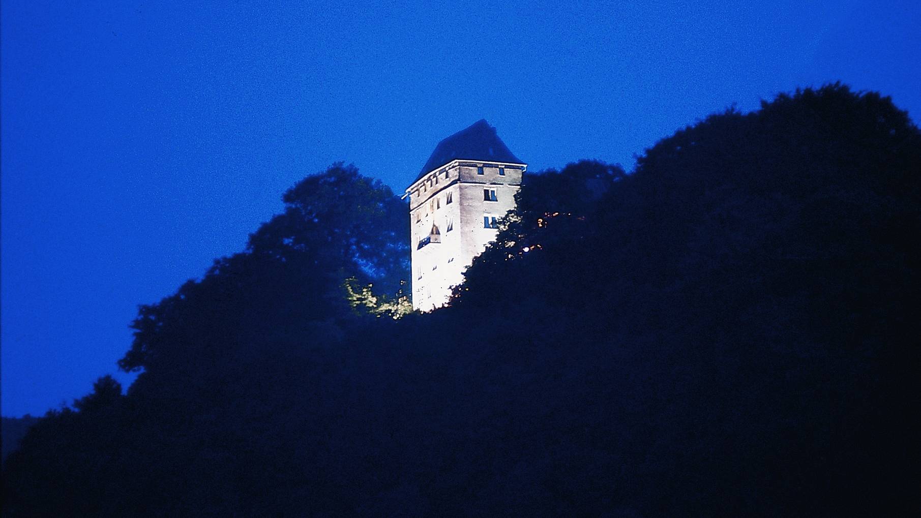  Schloß Neuburg bei Nacht 