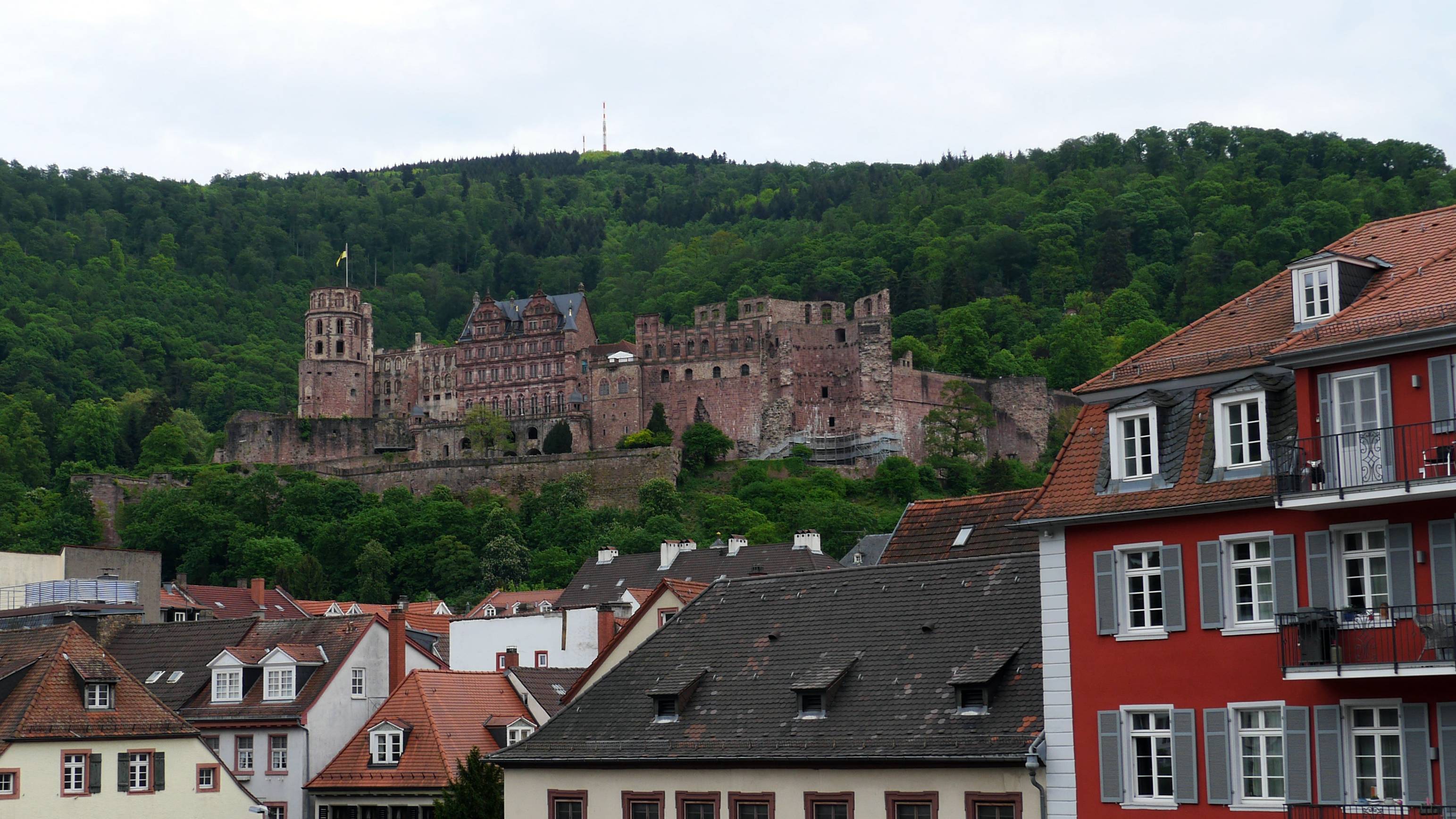  Heidelberg - Blick auf Schloß 
